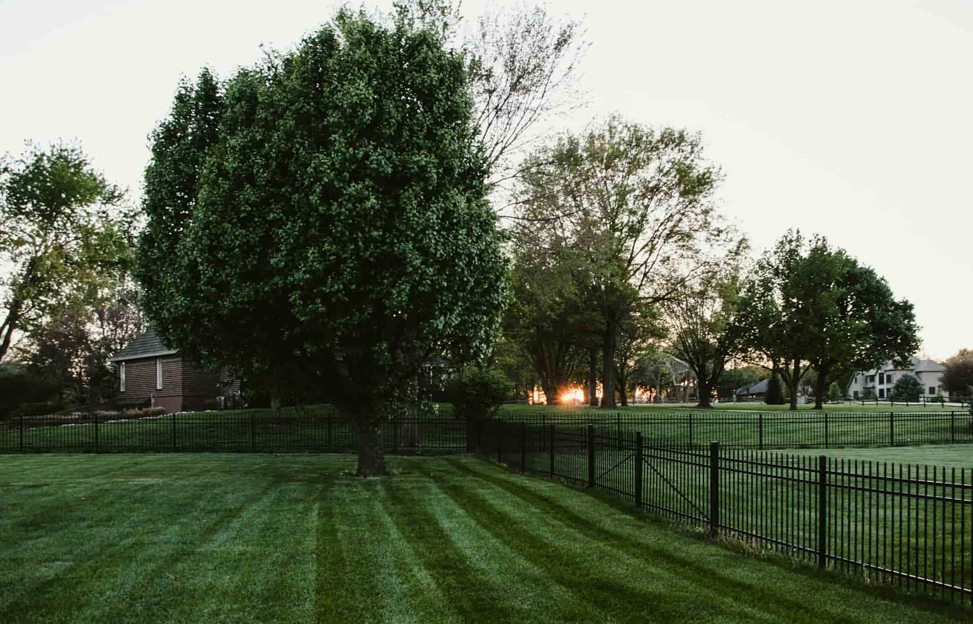 Laptop on table in a cozy living room.