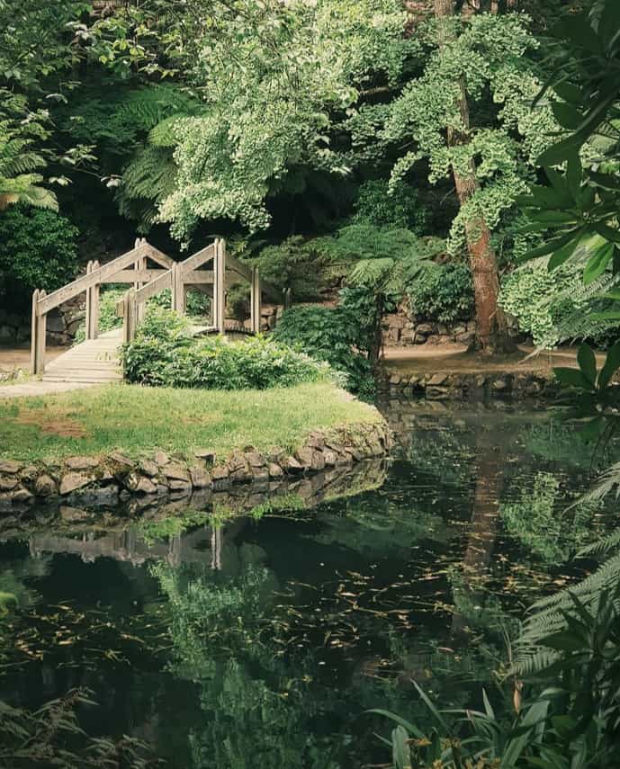 Landscape with nice bridge.