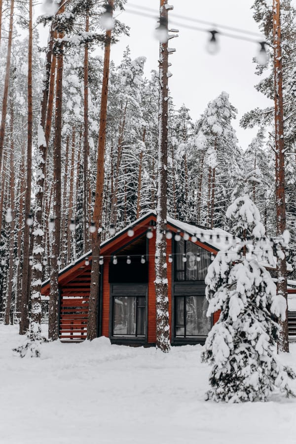 cabin in snowy forest
