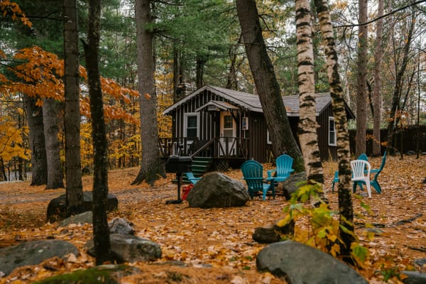 cabin with fall leaves
